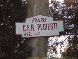 Faceti click pentru a mari poza