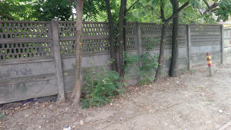 P_20200913_153402.jpg