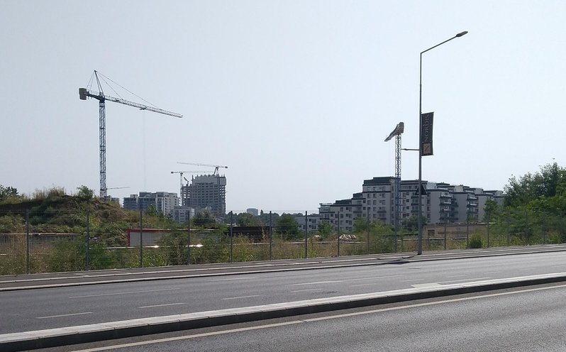 P_20210729_153544.jpg